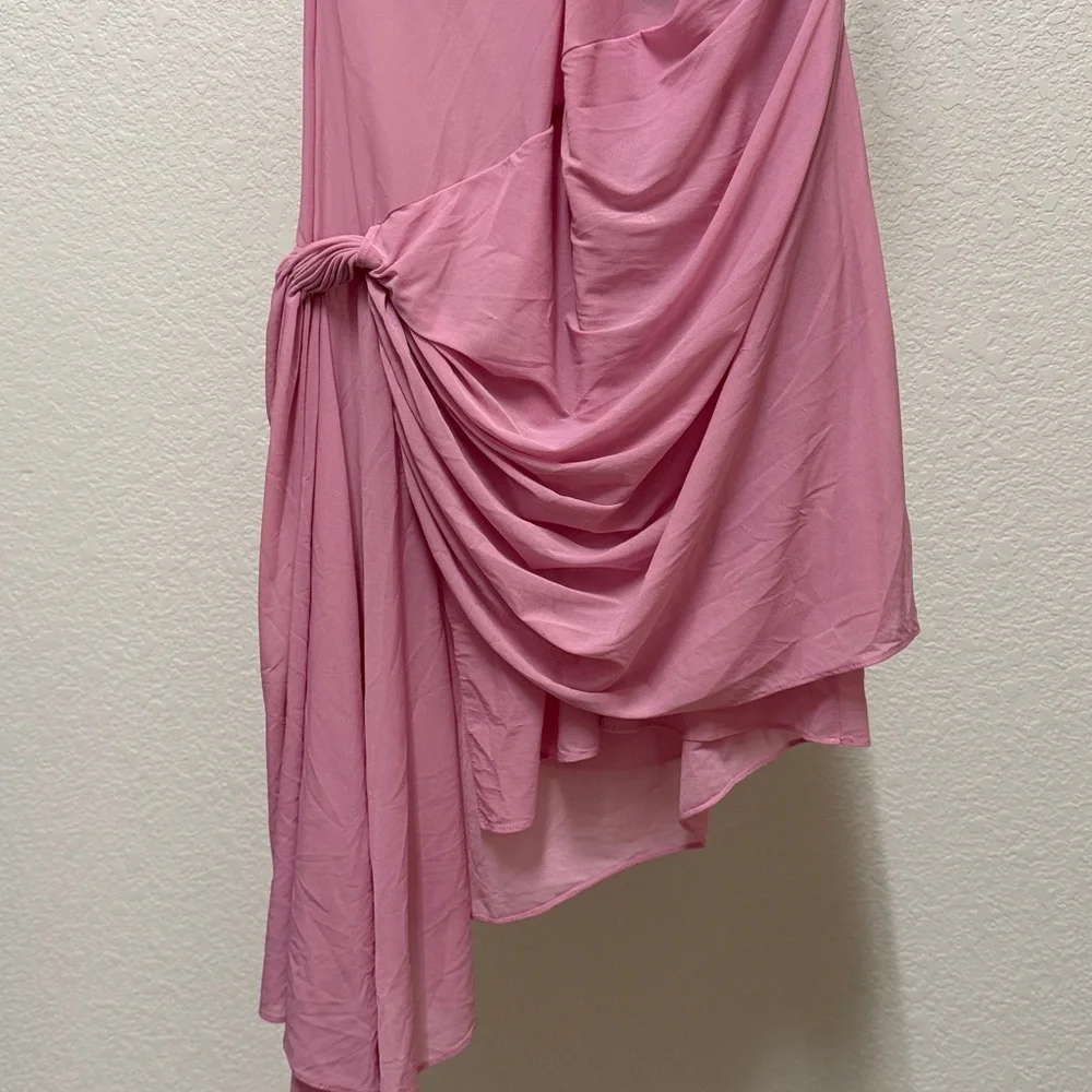 Ronny Kobo Izel Dress in Carnation - Picture 5 of 15